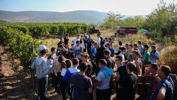Vinarija manastira Visoki Dečani