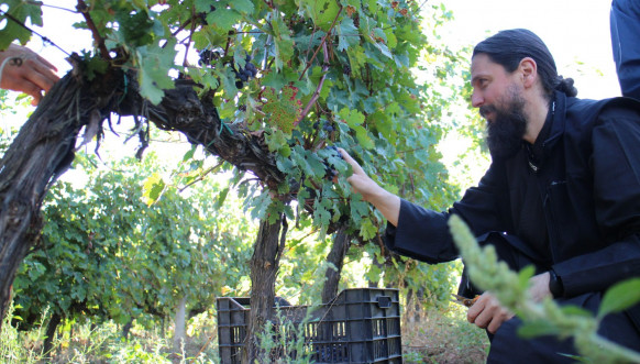 Vinarija manastira Visoki Dečani