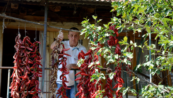 Porodica Zvezdane i Veroljuba Nikolića iz Kololeča kod Kosovske Kamenice