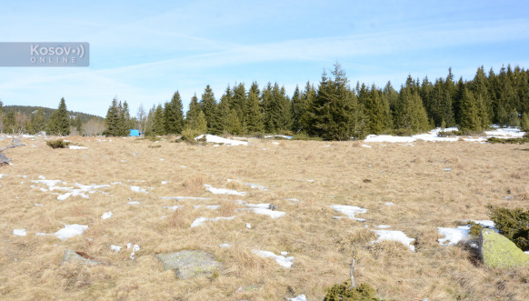 Mokra Gora bespravna seča šume
