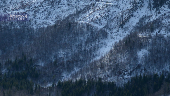 Mokra Gora bespravna seča šume