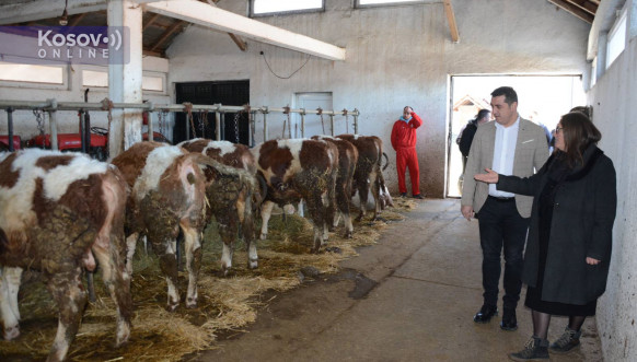 Novo Brdo poseta Aleksandra spirića Narodnoj kuhinji