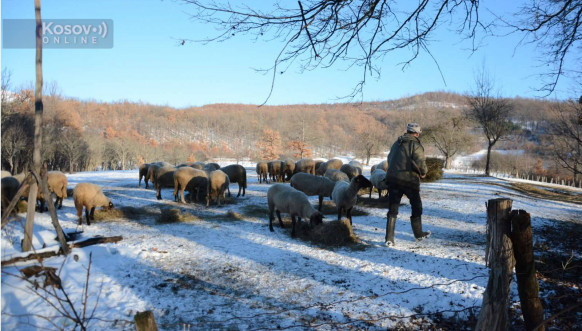 Todic u obilasku planinskih sela oko Leposavica