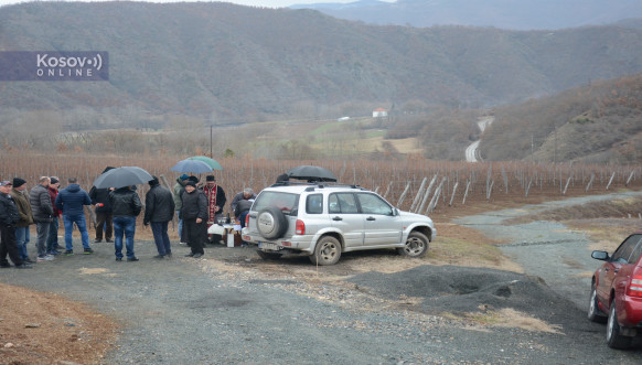 Orezivanje čokota Leposavić 14 02 2020