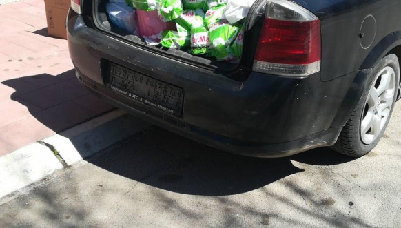 Volonteri u Zvečanu 6