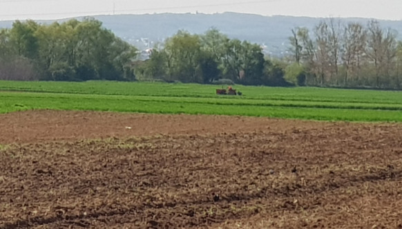 Klokot - Poljoprivredni radovi privode se kraju