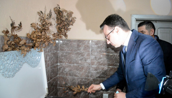 petković