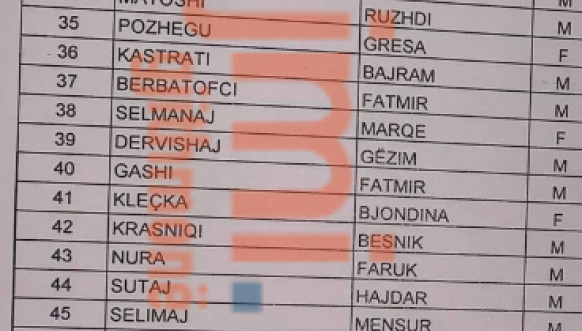 ABK Izborna lista - 60 od 110 kandidata