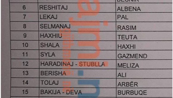 ABK Izborna lista - 60 od 110 kandidata