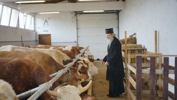 Episkop raško - prizrenski vladika Teodosije u novoizgrađenoj farmi