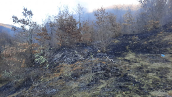 lokalizovan požar u Kosovskoj Kamenici
