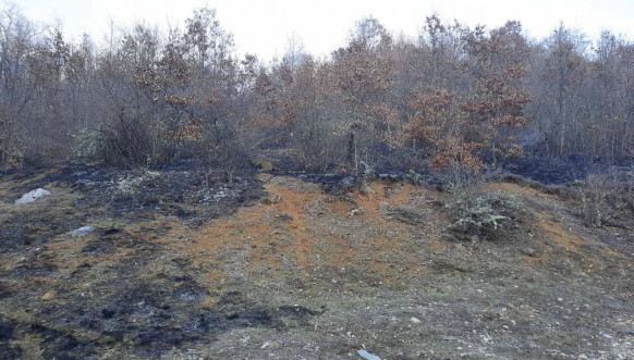lokalizovan požar u Kosovskoj Kamenici