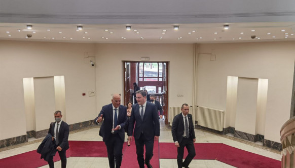 Selaković i Dendijas