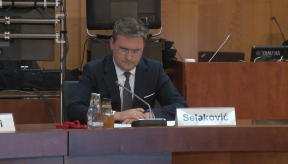Nikola Selaković Nikola Selaković