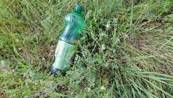 Posečeni hrastovi u crkvi u Velikoj Hoči Posečeni hrastovi u crkvi u Velikoj Hoči
