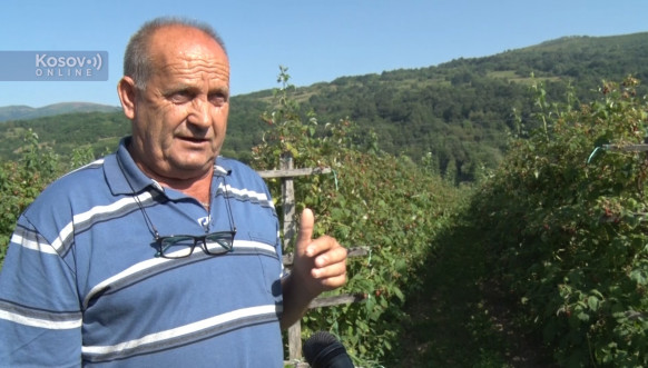 Milan Dimić Milan Dimić