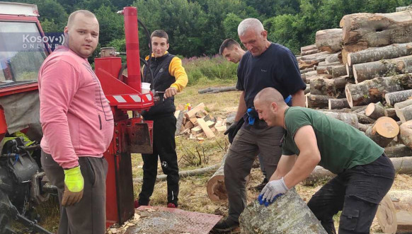 Seča drva u manastiru Crna Reka