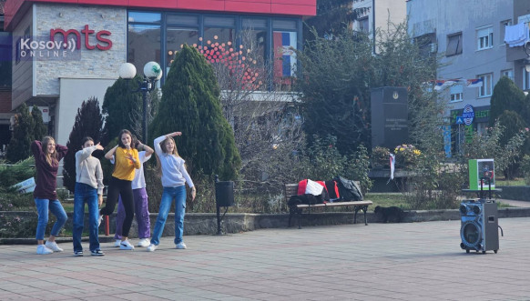 U Leposaviću organizovana humanitarna akcija za Doroteu