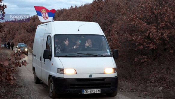  Seča badnjaka u okolini Gračanice