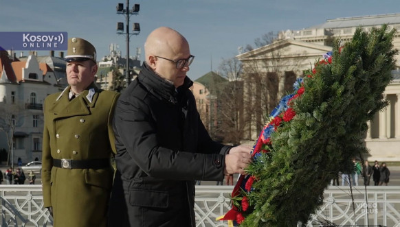 Vučević sa Bobrovničskim u Budimpešti