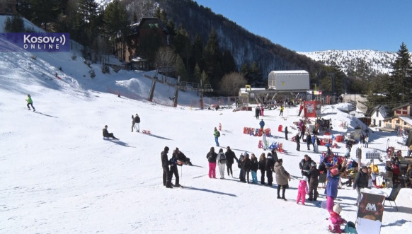 Brezovica1