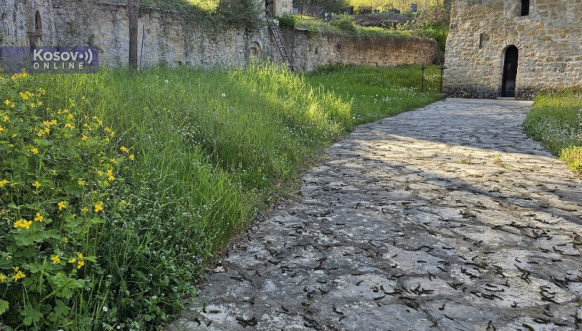 Očišćeno groblje u Velikoj Hoči kod Orahovca