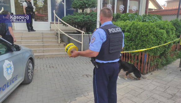 Kosovska policija