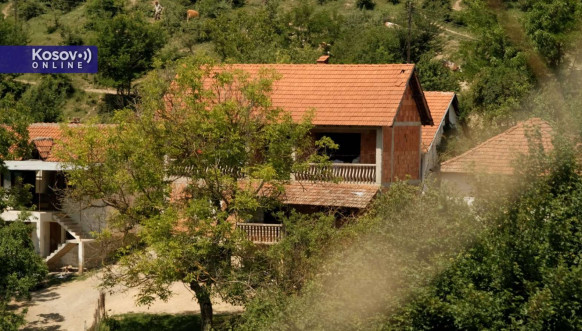 Cernica