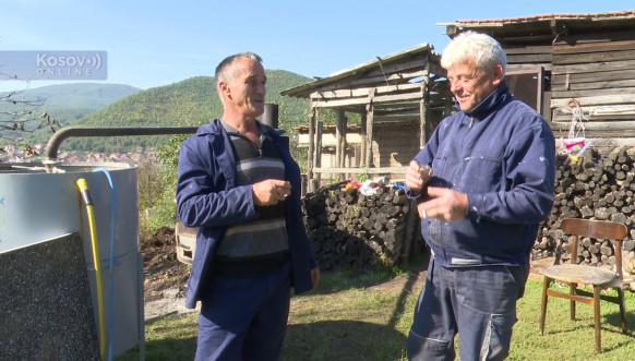 Šljiva prvi izbor voća za pečenje rakije u Rudaru