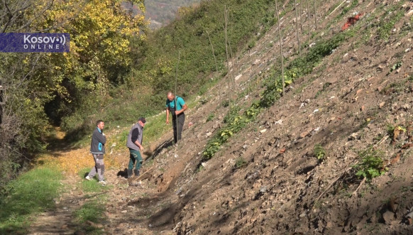 Štrpce: Počela sadnja drveća na mestima gde su bile deponije Štrpce: Počela sadnja drveća na mestima gde su bile deponije