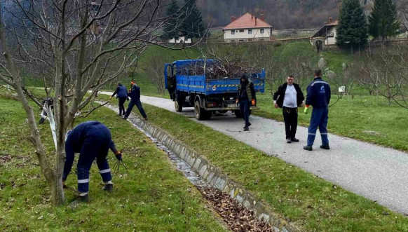 Uklanjanje granja