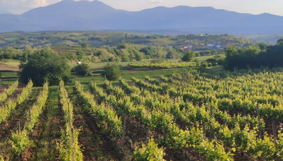 Hodočasničko putovanje za Vaskrs na Kosovo