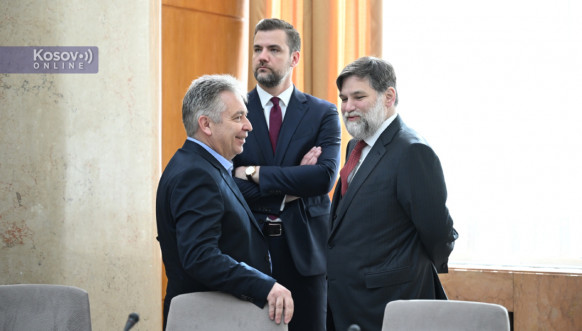 Srbi iz Beča kod Vučevića