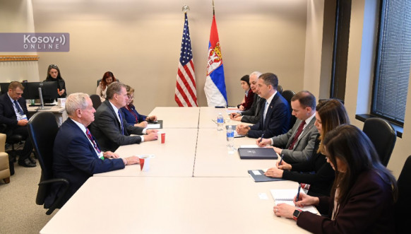 Đurić sa američkim kongresmenima
