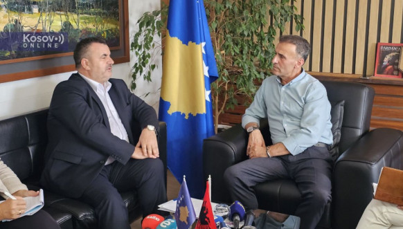Ćeljaj u Leposaviću