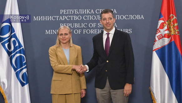 Đurić i Valtonen