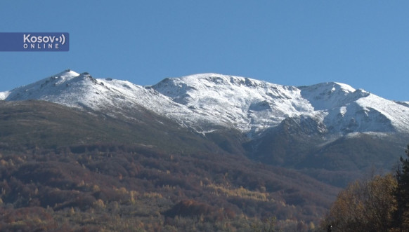 Brezovica