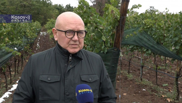 Vinarija Arsenijević 1