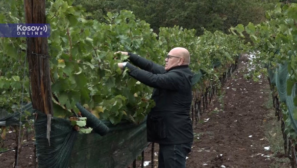 Vinarija Arsenijević 2