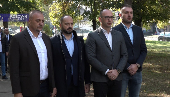 Predstavnici SL