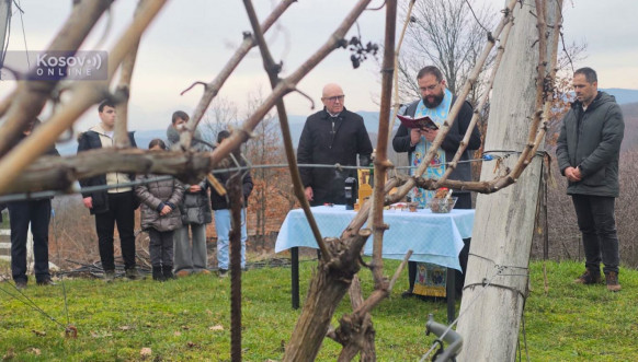 Sveti Trifun u vinogradima "Doline Ibra" u Leposaviću