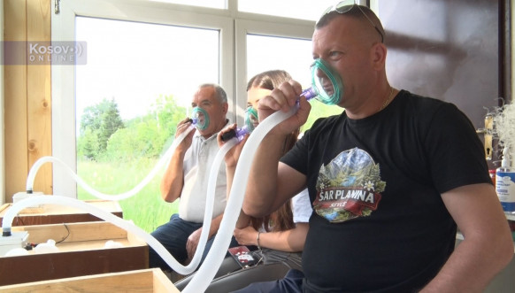 Brezovica, api komora