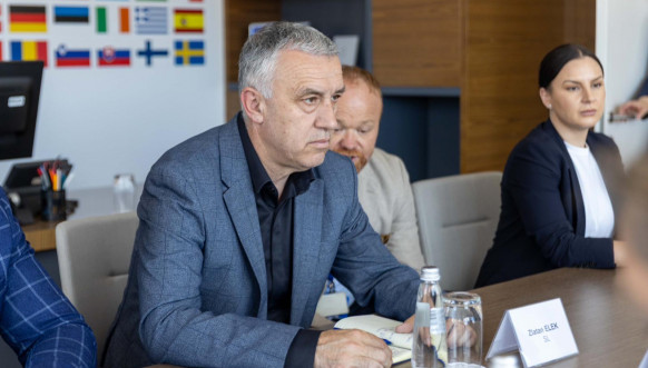 Zlatan Elek