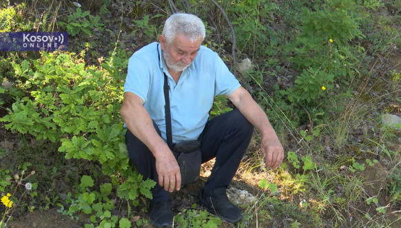 Jordan Jakšić