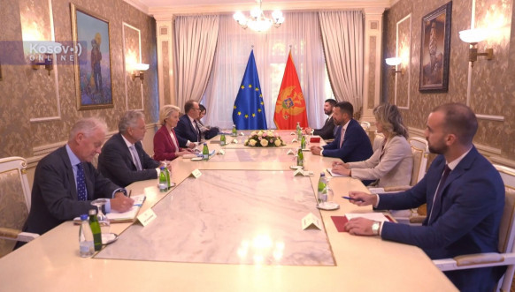 Fon der Lajen i Milatović Fon der Lajen i Milatović