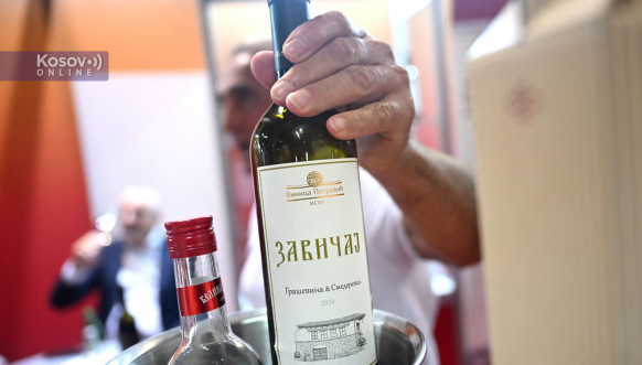 vinska vizija