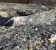 Zgarište/Delovi autobomila Slavka Simića