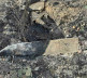 Zgarište/Delovi autobomila Slavka Simića