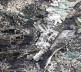 Zgarište/Delovi autobomila Slavka Simića