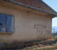 Pasjane, grafiti 